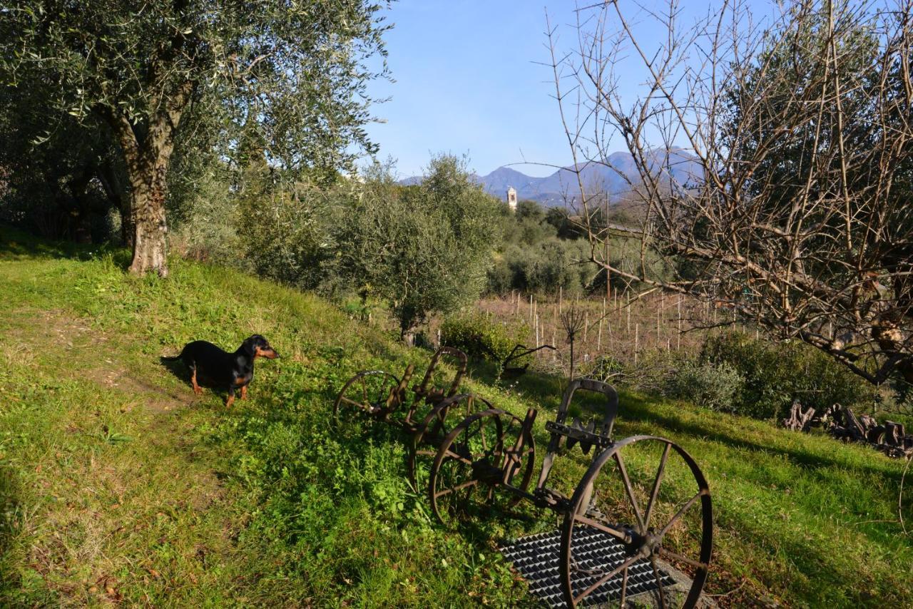 Antiche Mura Casa Vacanze Puegnago Exterior foto